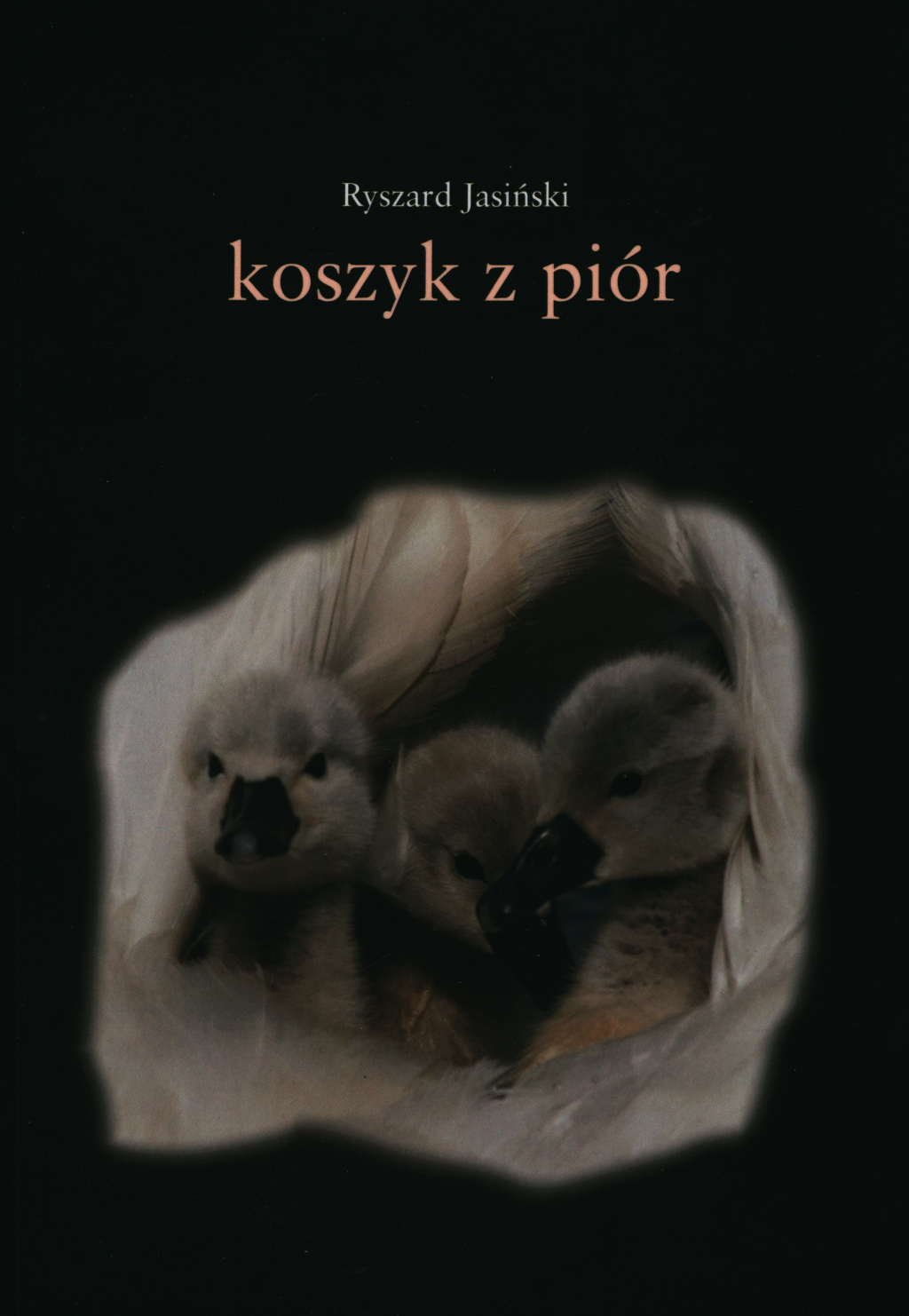Ryszard Jasiński, Koszyk z piór