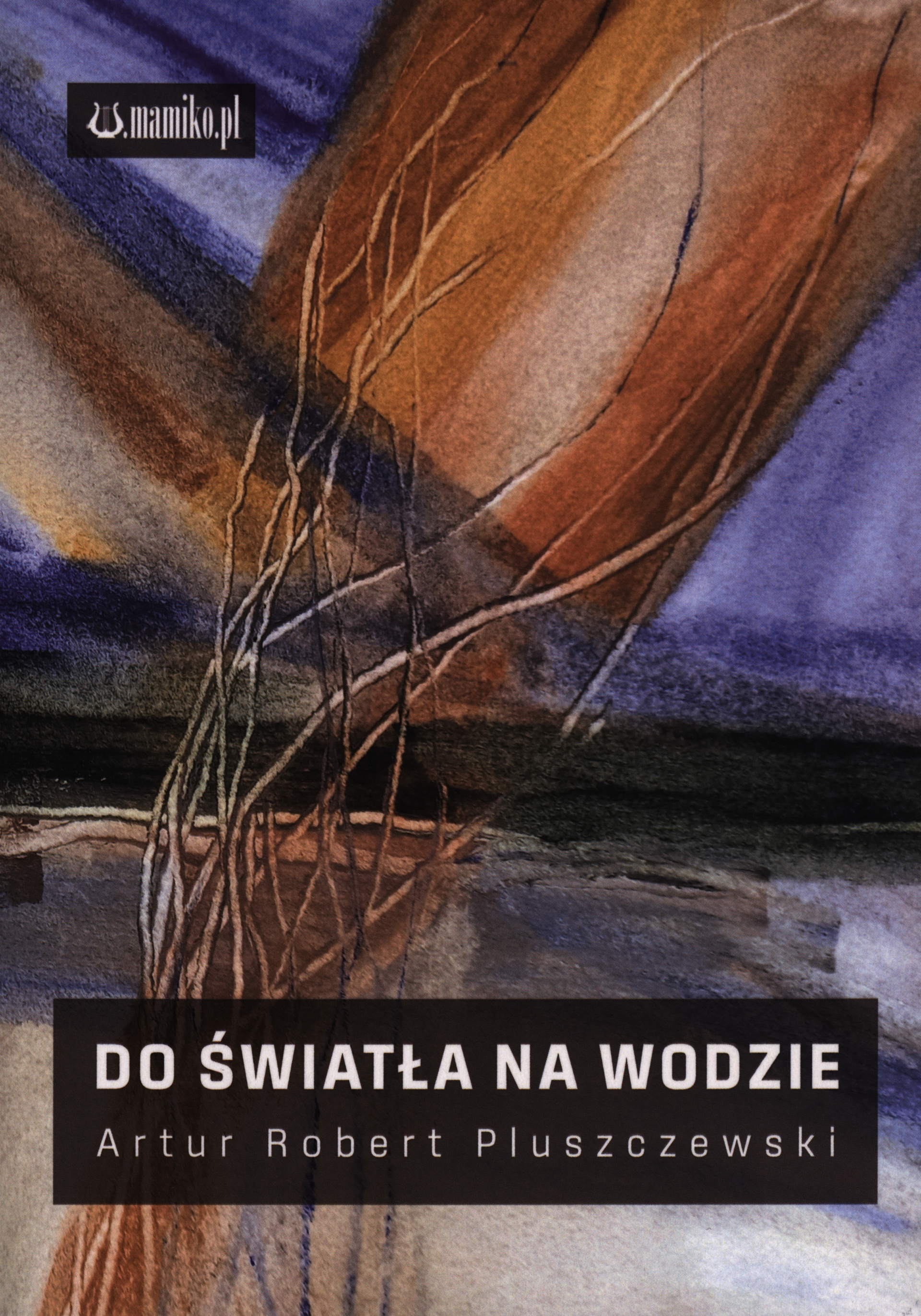 Artur Robert Pluszczewski "Do światła na wodzie"