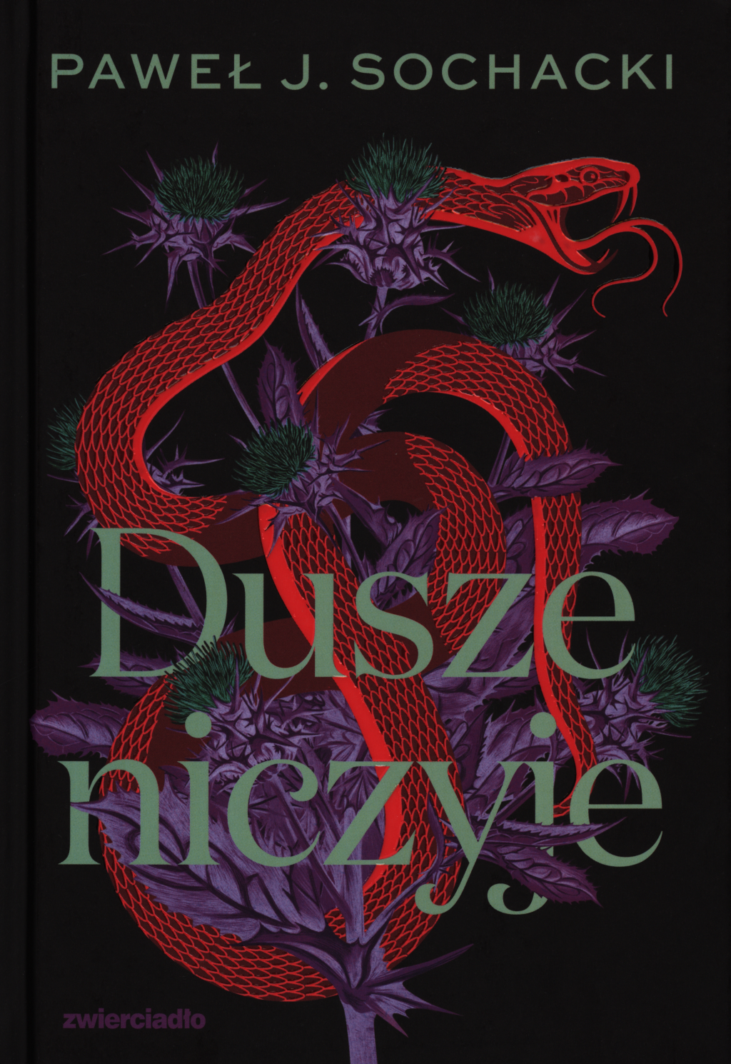 Paweł Jakub Sochacki, Dusze niczyje