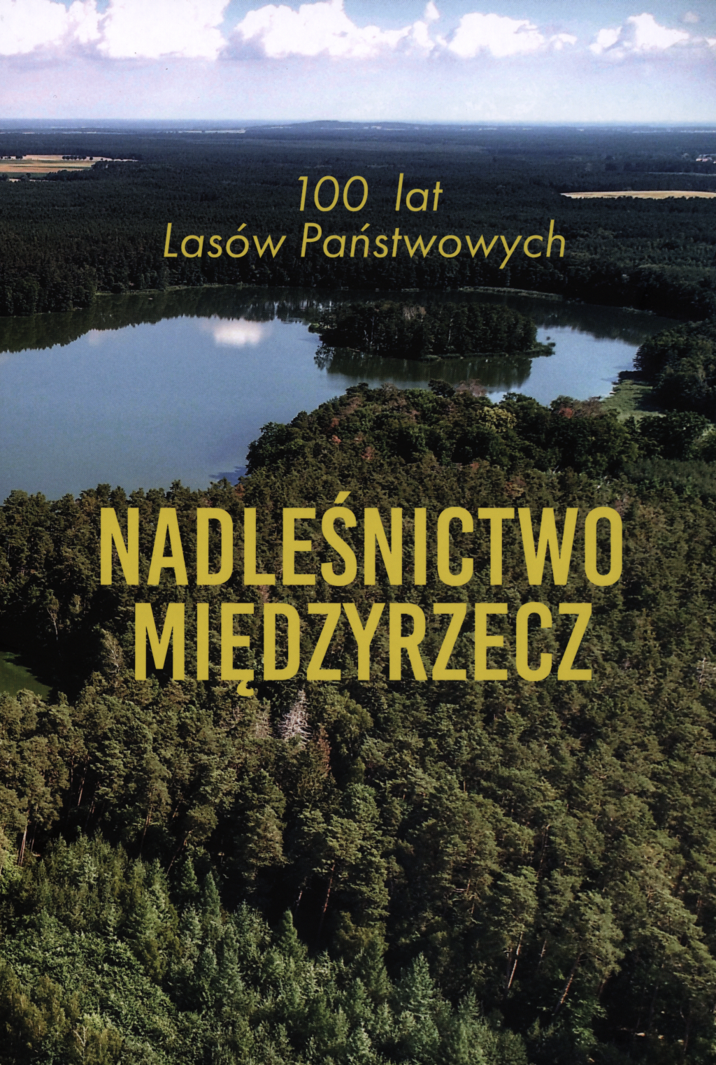 Andrzej Chmielewski, 100 lat Lasów Państwowych. Nadleśnictwo Międzyrzecz